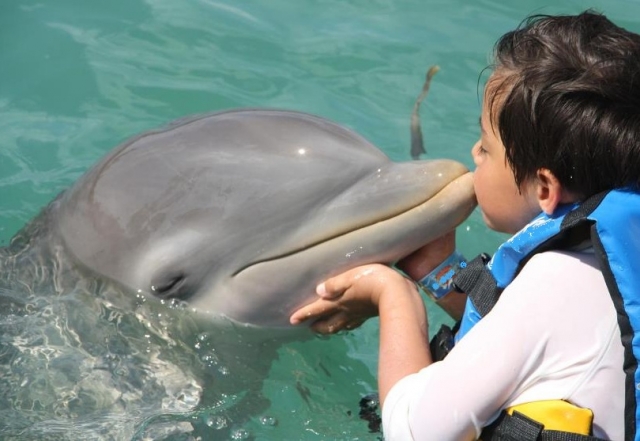Nado con delfines